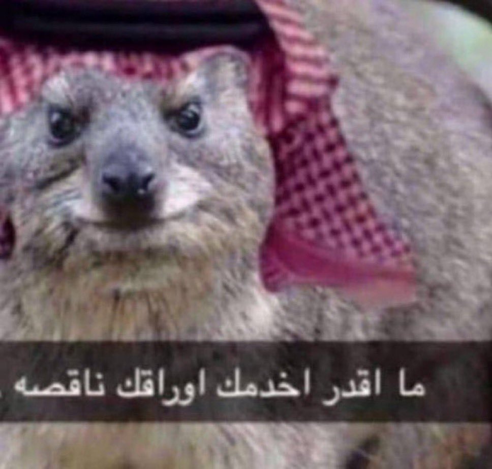mbha977's tweet photo. @vnebras ماضبط فلمك https://t.co/htfGcZpMHZ