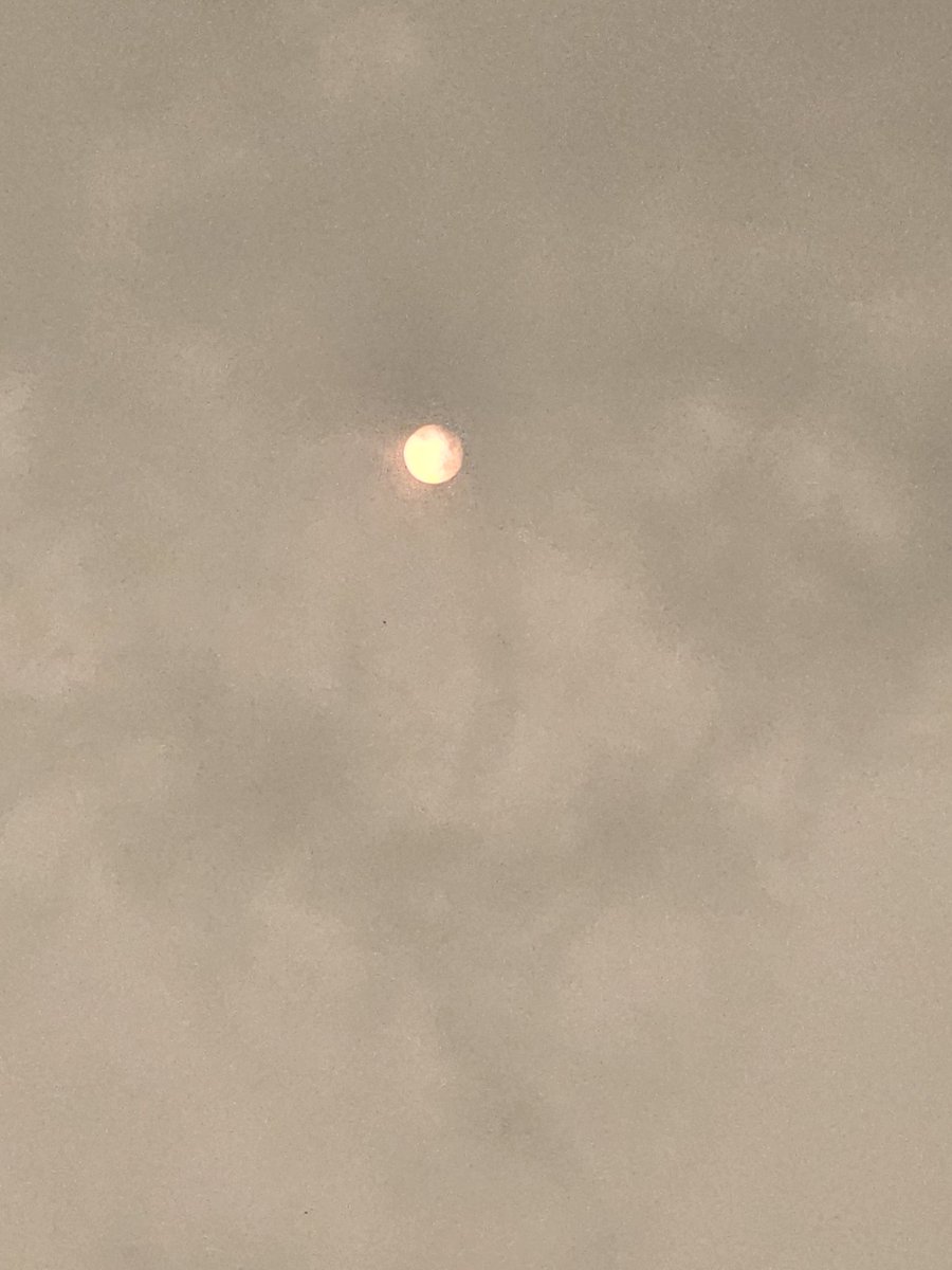 0x4D617263's tweet photo. @WX1BOX @NWSBoston View of the sun from East Hartford, CT @ 13:40 with no filter.  It is yellow outside.  Can smell the smoke and see particles in the air.  spotter 20-619 https://t.co/XkHDNeAPm9