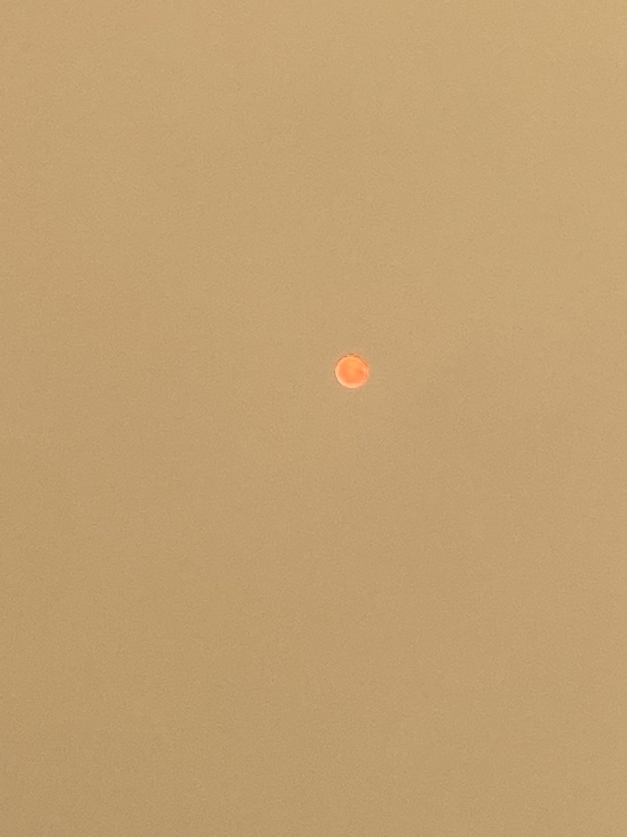 namesJaylen's tweet photo. Just for breakfast this morning and suddenly the sky is all yellow! And it’s not even a filter! https://t.co/f2qlWz7Xd0