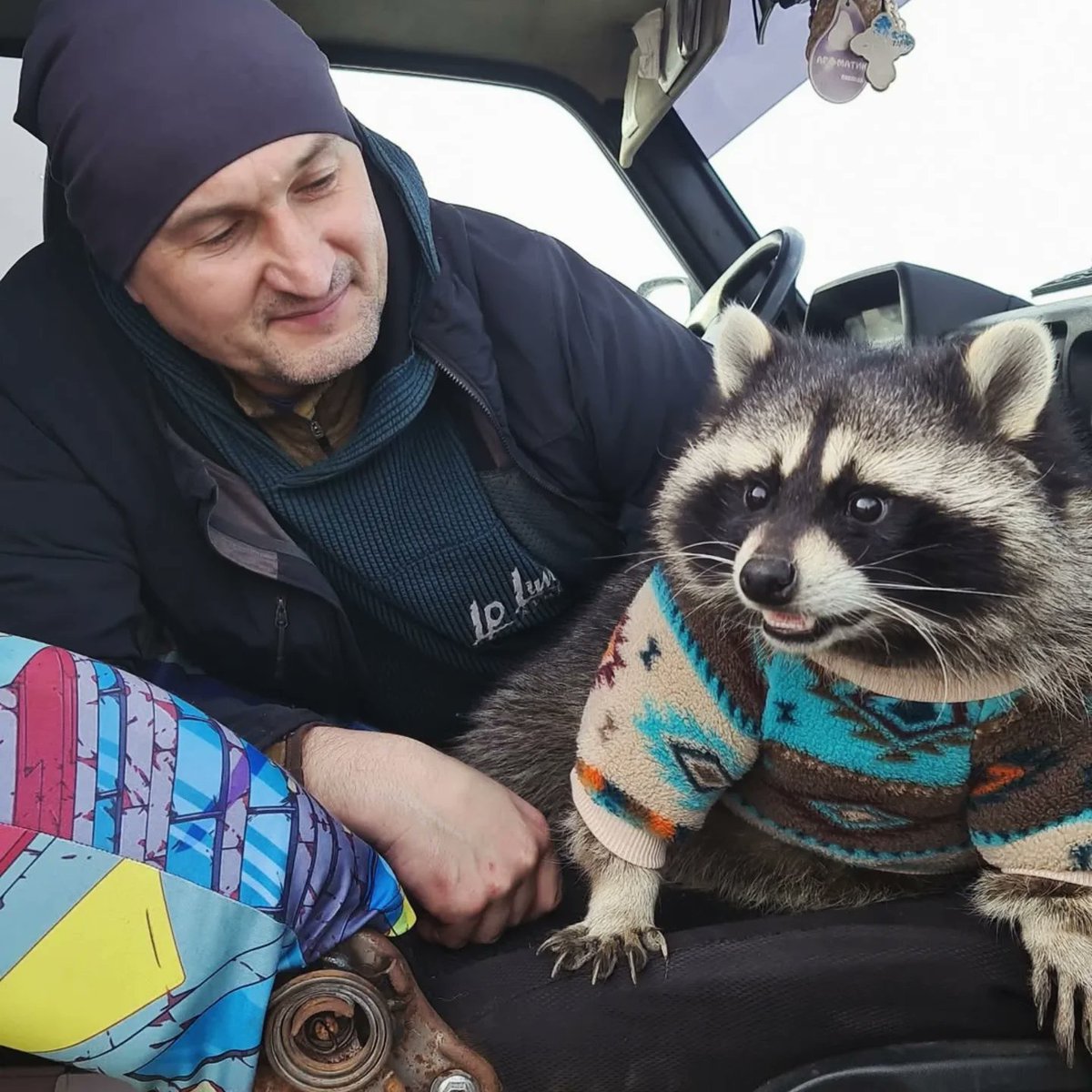 Raccoon_And_Me_'s tweet photo. Raccoon Road Trip! 🦝🚗 https://t.co/VIIRZIYY7n