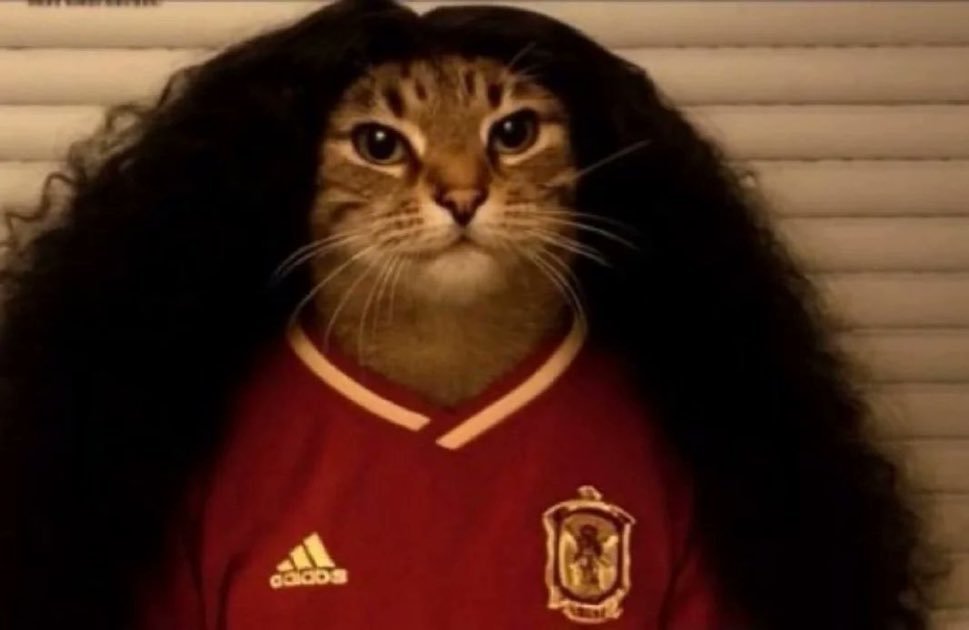 rigleyabreu's tweet photo. @LegacySiu That's cucurella https://t.co/uqTGnLad5W