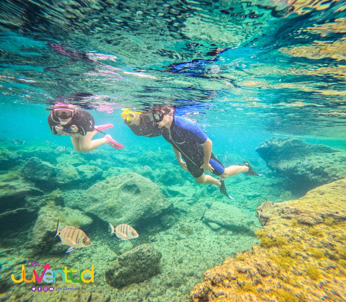 LPAJuventud's tweet photo. 🤿🐠 Nos fuimos de safari... pero bajo el agua.

Con las gafas puestas y muchas ganas de explorar, descubrimos el increíble mundo que esconde el fondo marino. Peces, naturaleza y un montón de momentos para quedarse con la boca abierta🌊✨

Así da gusto refrescarse este verano😎 https://t.co/3ewZNx5LcM