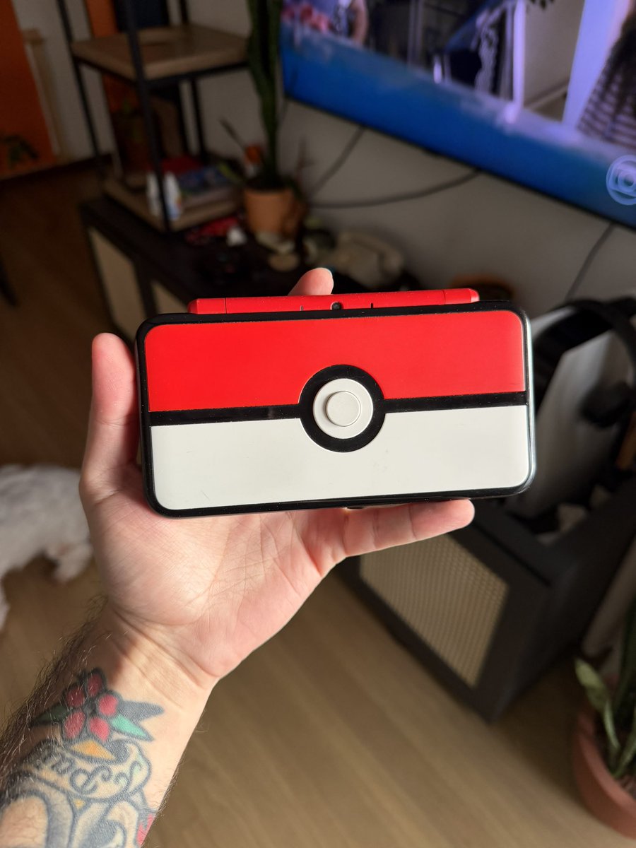 luquinha's tweet photo. pessoal cometi uma irresponsabilidade financeira e comprei um new 2ds xl lindo e perfeito https://t.co/TZuEfTCMmA