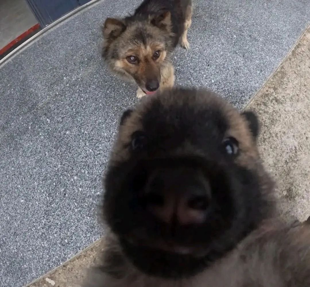 twaniimals's tweet photo. https://t.co/3h1f843gpG