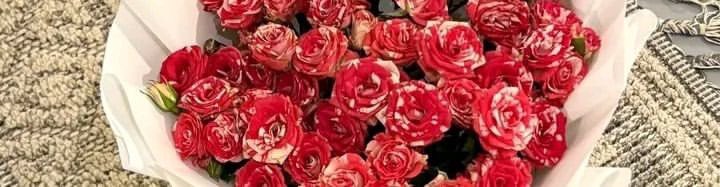 Nllllii8's tweet photo. يا باهِية مِثل الورد مِن جمَال وحُسن❣️. https://t.co/9ousFGI2qP