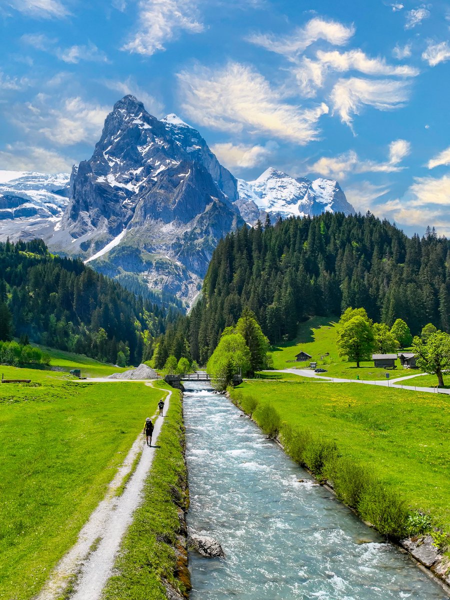 worldclick56's tweet photo. Switzerland 🇨🇭🍃 https://t.co/84PqvlNH9g