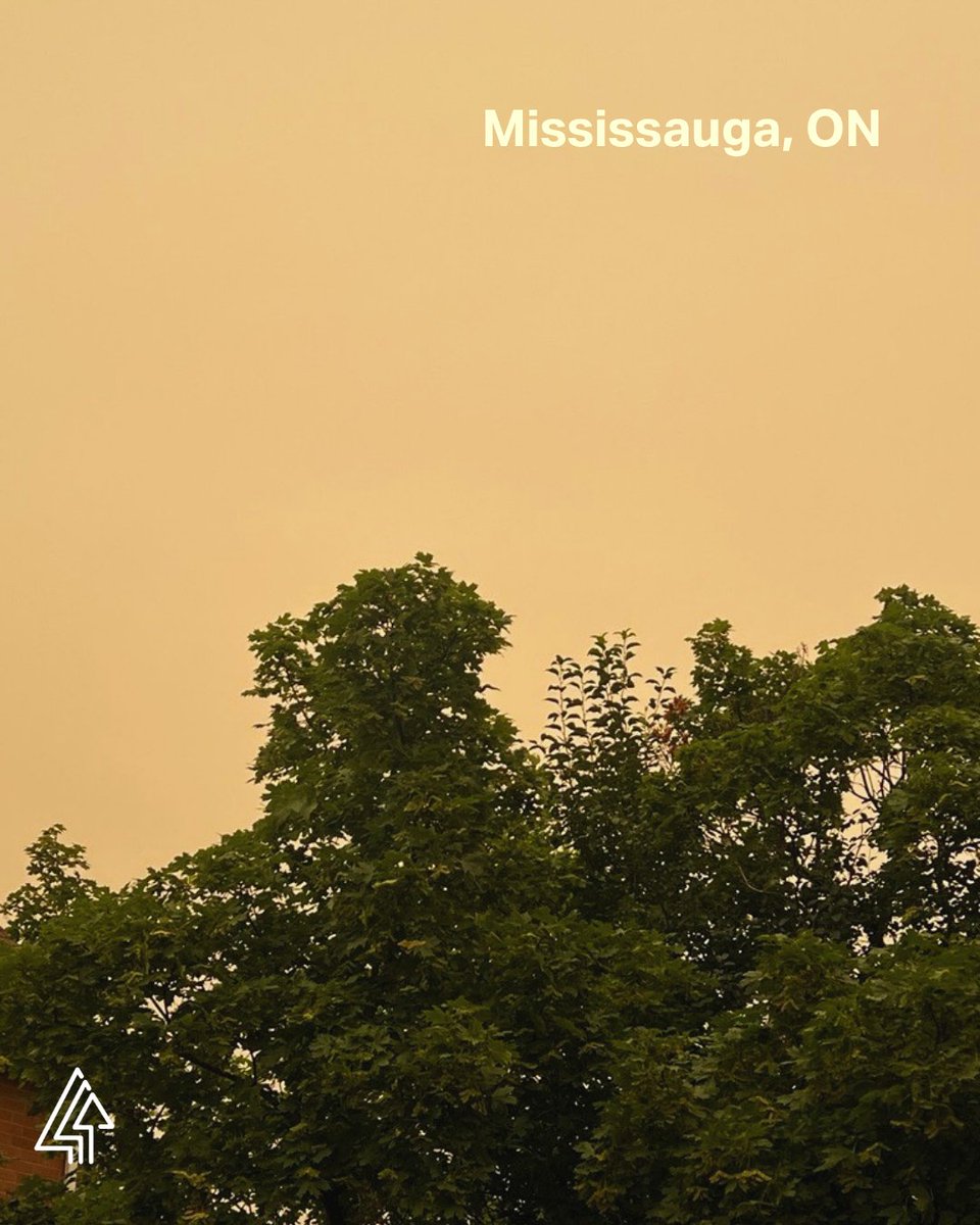 Forests Canada tweet media