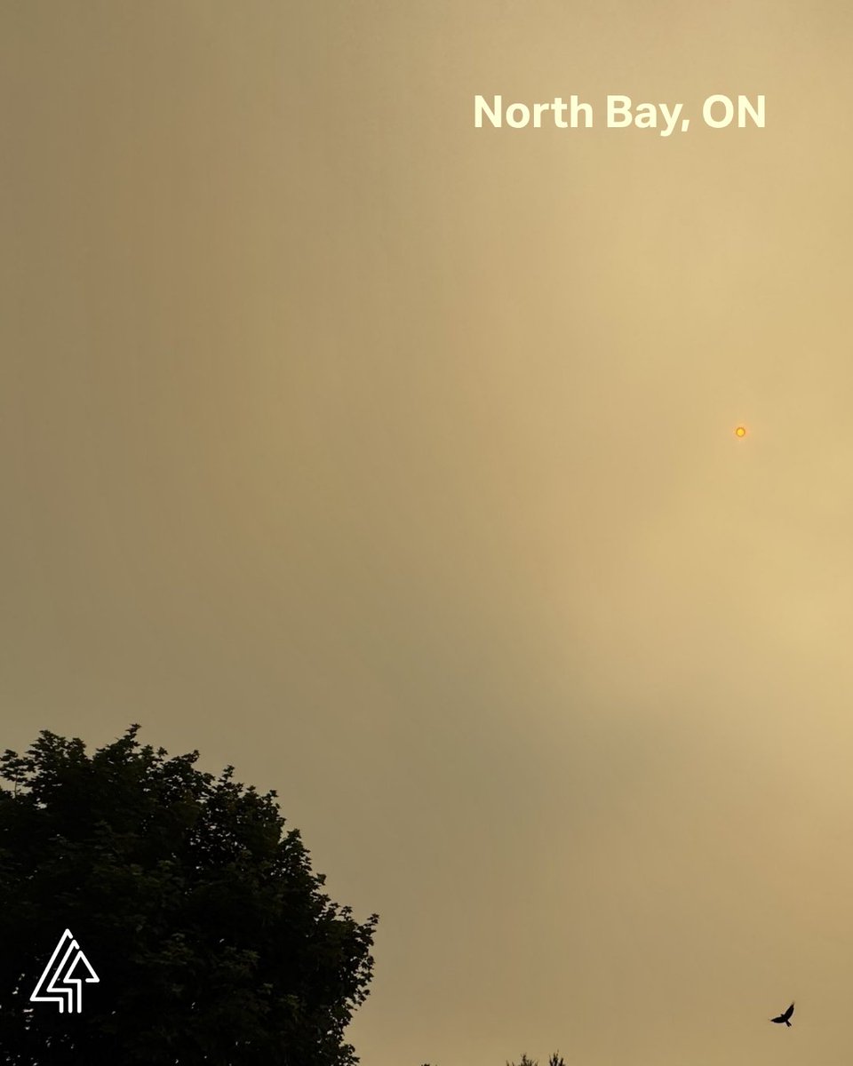 Forests Canada tweet media