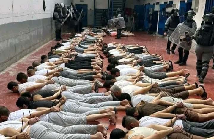 AgsaFree's tweet photo. #أنقذوا_الأسرى_الفلس_طي_نيين
#Prisoners_Day
#Save_the_Prisoners
#SaveThePrisoners https://t.co/hCrj8ixtfe