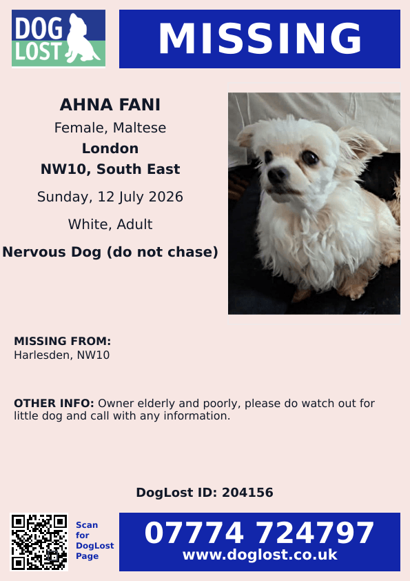 millypod1's tweet photo. 🆘12 JULY 2026 #Lost AHNA FANI #ScanMe
 MALTESE / CHIHUAHUA CROSS  Female
#Harlesden #NW10 #London #GreaterLondon
Owner elderly and poorly, please do watch out for little dog and call with any information.
https://t.co/2r1GdRexnk https://t.co/4Mmyjpp7Lf