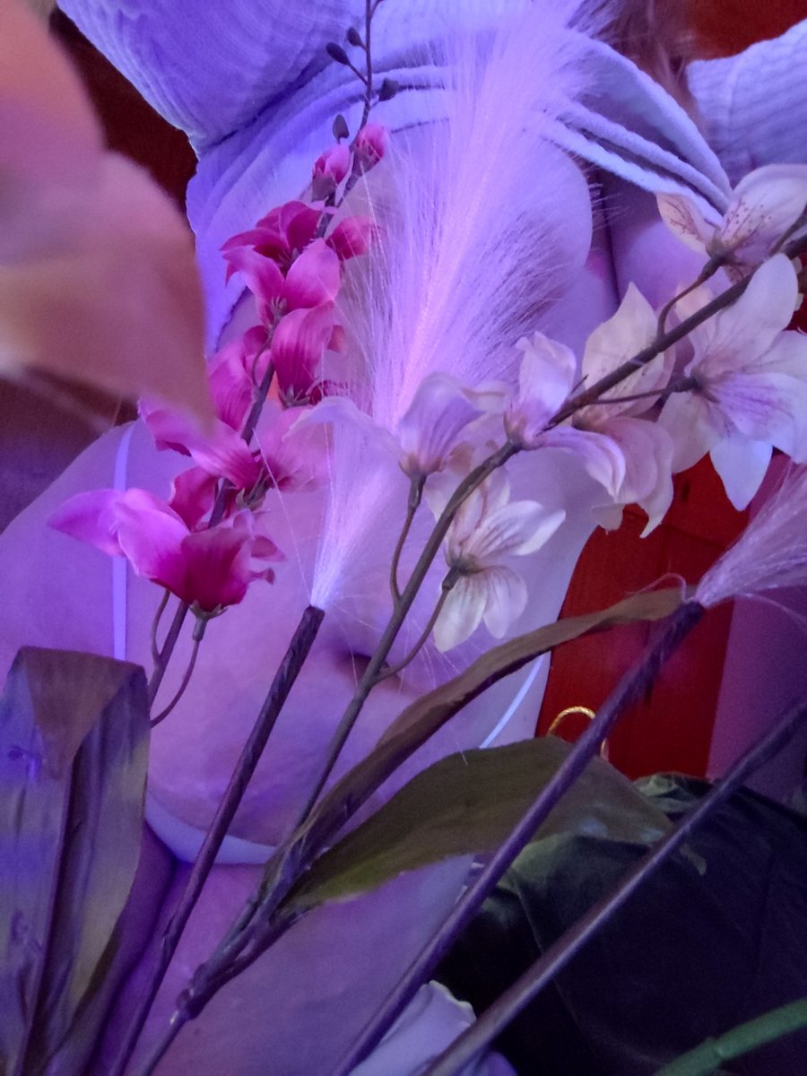 spiceppk's tweet photo. A arte de ser uma vagabunda irrecuperável *e não ter uma única foto vestida* https://t.co/IjHPxud0lh