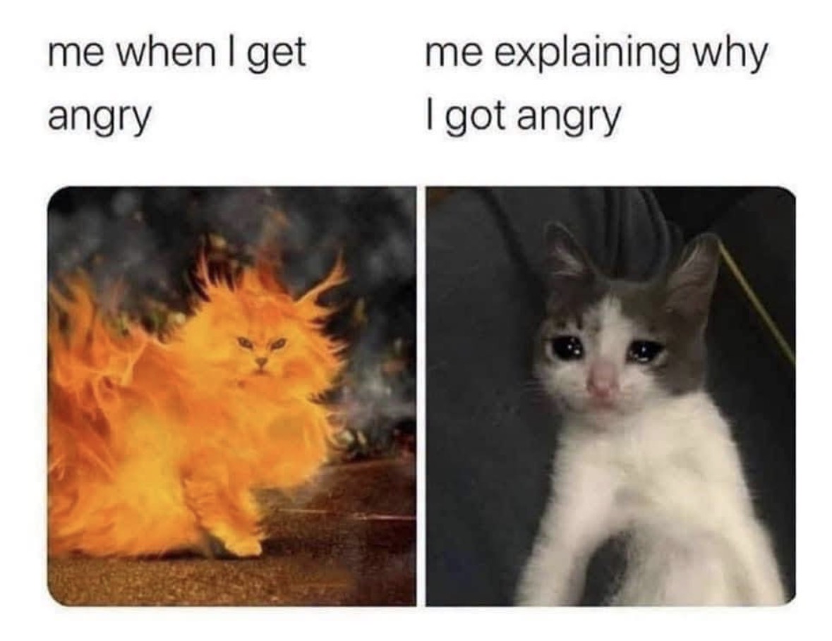 RespectfulMemes's tweet photo. https://t.co/3mo2Di82kd