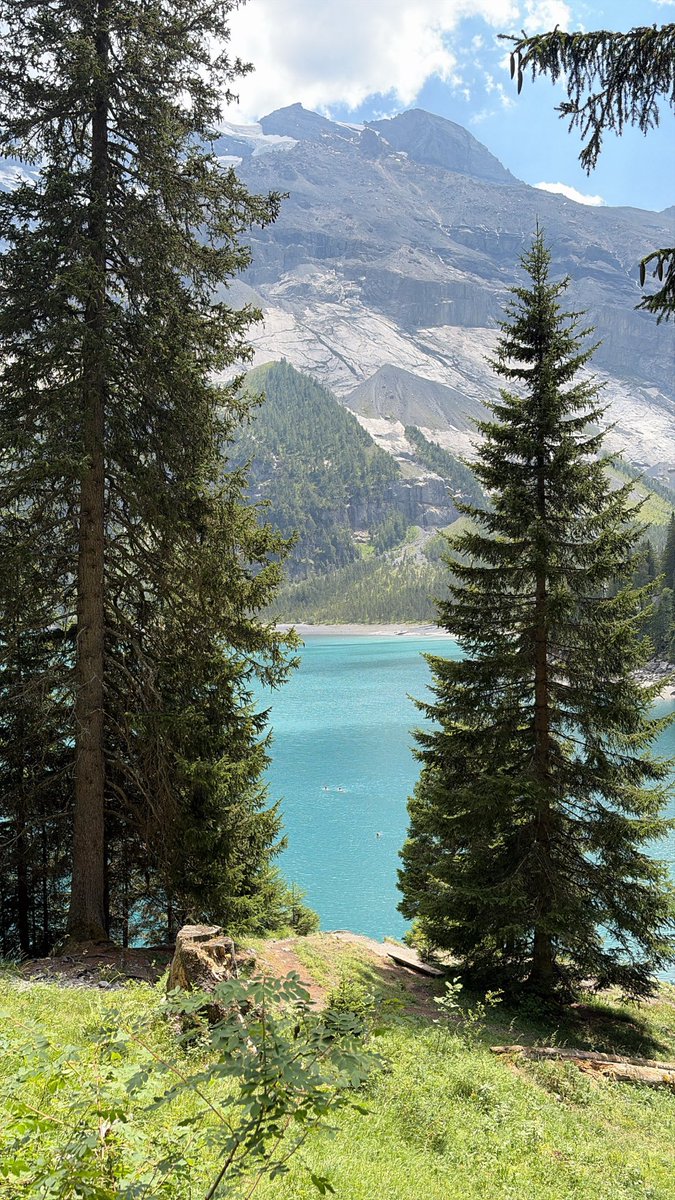 ooeellllll's tweet photo. Lac d’Oeschinen🇨🇭 https://t.co/FVu079hXFo