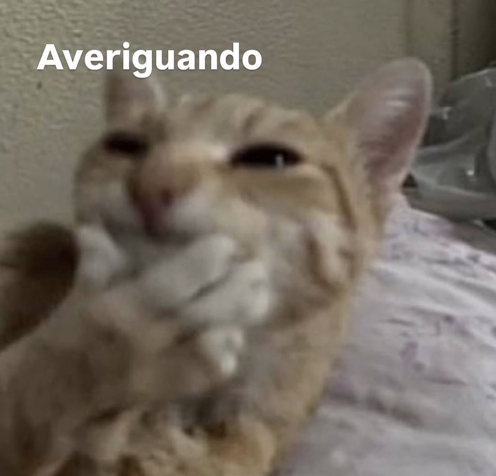 conoloracigarro's tweet photo. https://t.co/TJOEzcC8cp