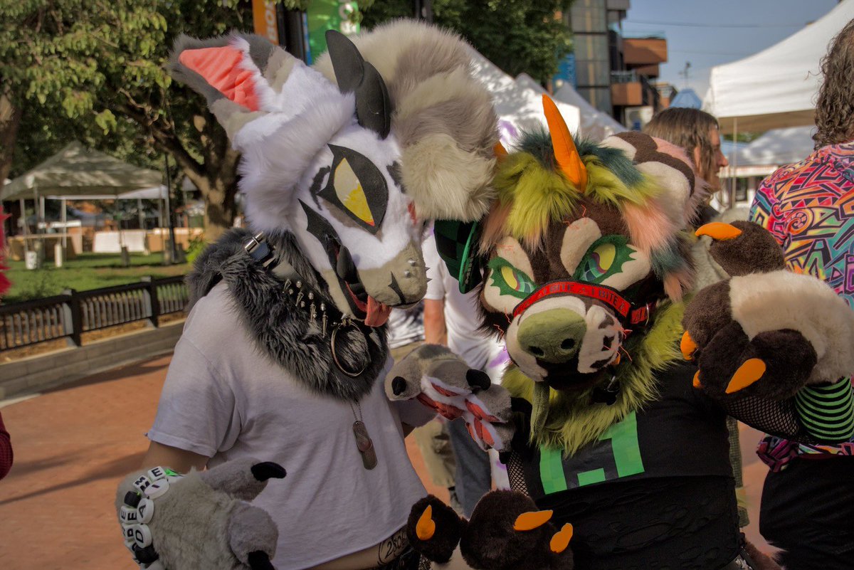⟡ LEXZIILLA ⟡ 🔜 DENFUR tweet media