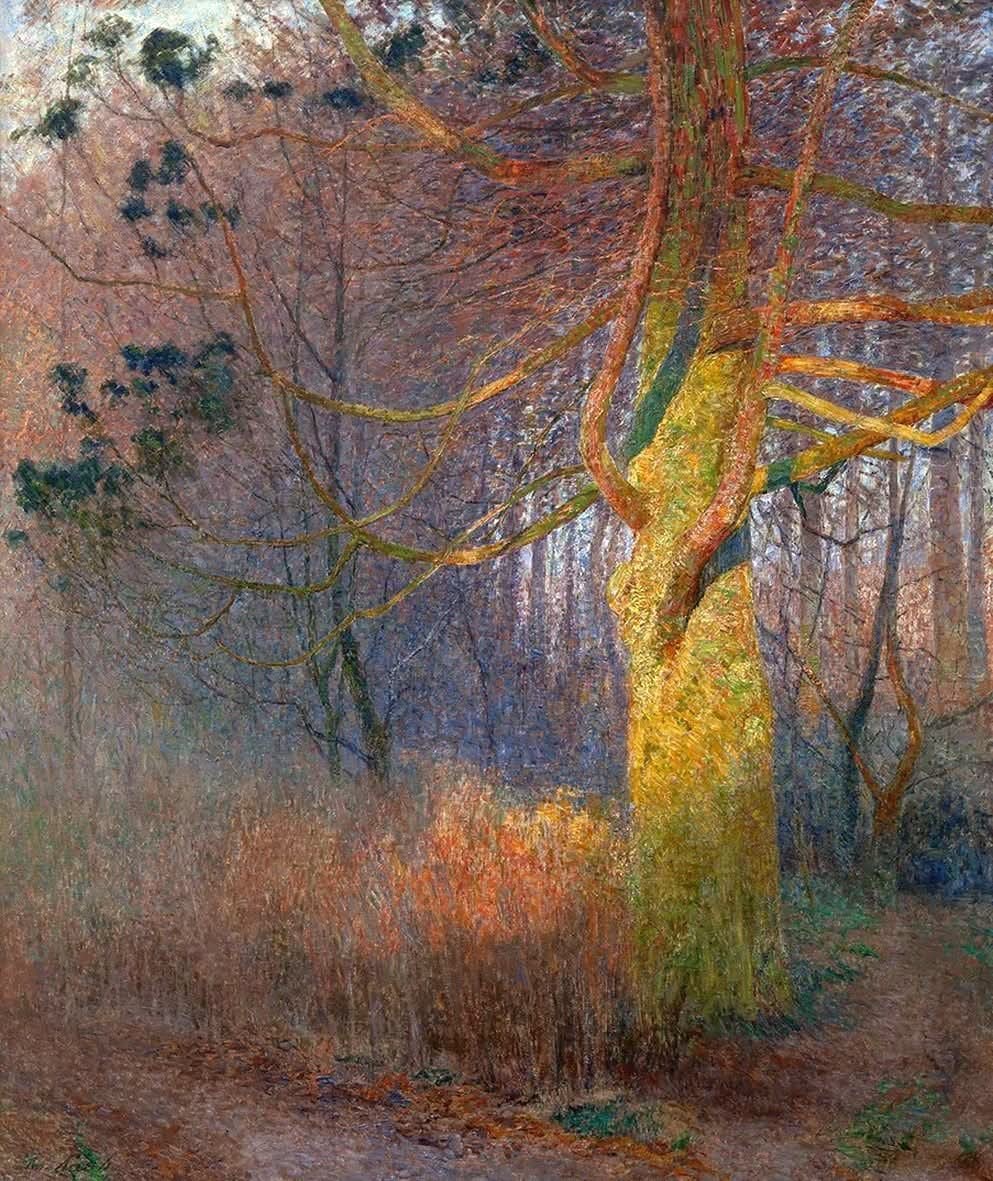 olgatuleninova's tweet photo. Emile Claus (Belgium 1849-1924)  
Tree in the Sun (1900) 
oil on canvas 184.5 x 151.8 cm https://t.co/UtyQUynl1x