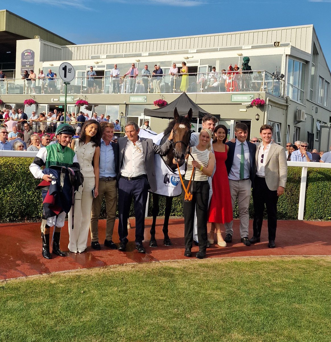 Irish Stallion Farms tweet media