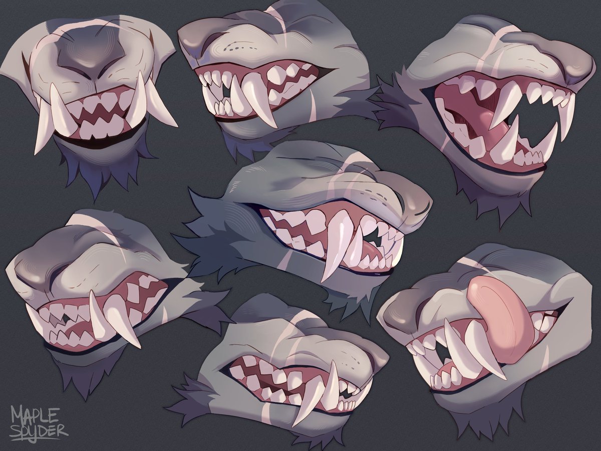 Maplespyder's tweet photo. big werewolf teeth collection https://t.co/kBE7Jjdnap