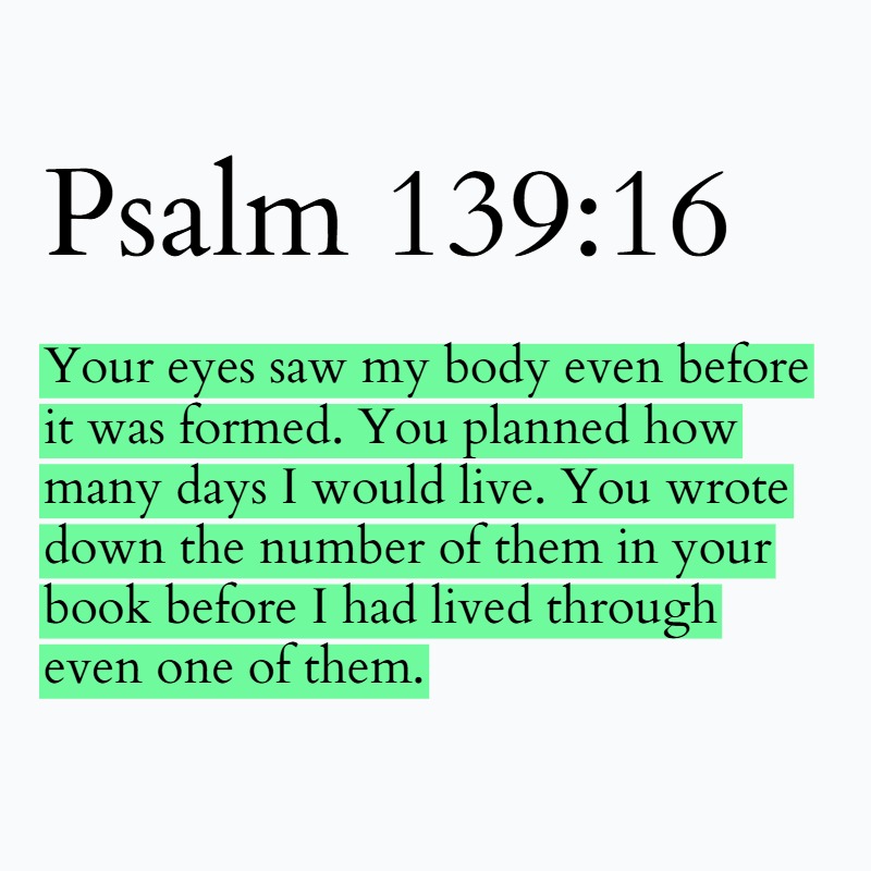 BibleVerses tweet picture