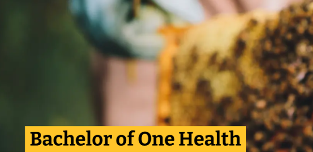 One Health - U of Guelph tweet media