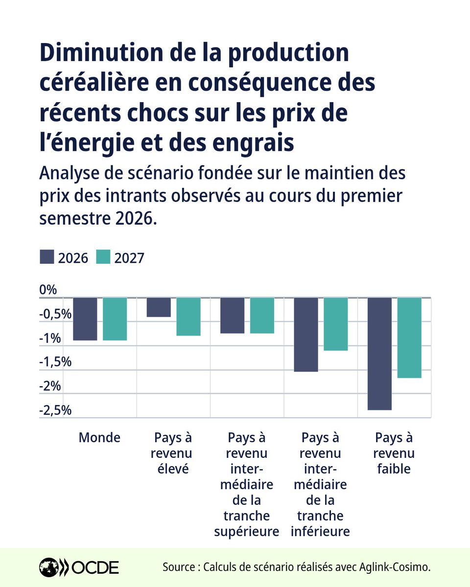 OCDE_fr's tweet photo. Les prix élevés de l’énergie cette année pourraient amputer la production de céréales de 26 Mt en 2027 – et menacer la sécurité alimentaire des plus vulnérables.
En savoir plus, Perspectives agricoles de l’#OCDE et de la FAO 2026‑2035 : https://t.co/slHvWOCaGY https://t.co/4xAT8frf4H