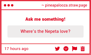 PineApalooza's tweet photo. I'm sure I left it around here somewhere. https://t.co/gUL3T51t1j