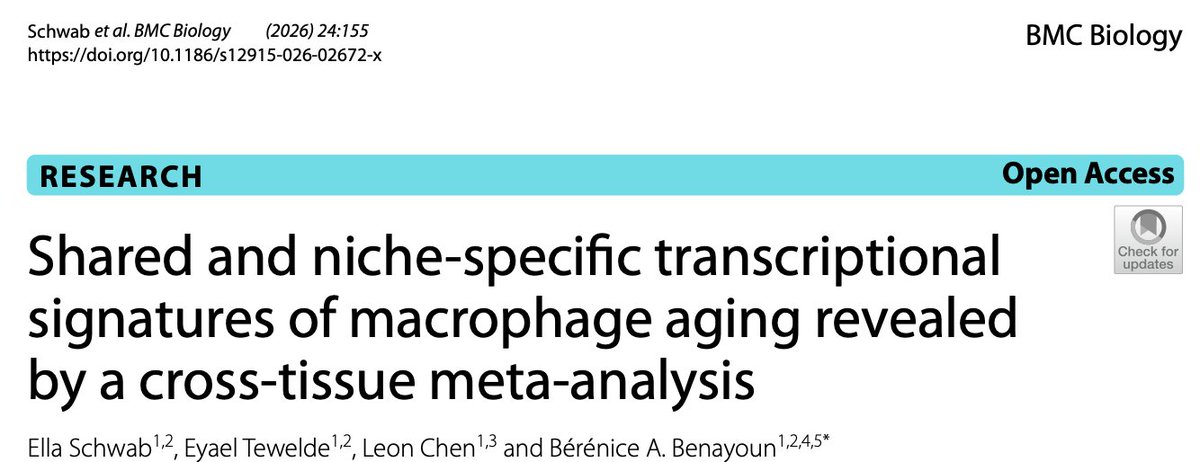 BBParis1984's tweet photo. Happy to share this new work by excellent Benayoun lab PhD Candidate #EllaSchwab, out today @BMCBiology: "Shared and niche-specific transcriptional signatures of macrophage aging revealed by a cross-tissue meta-analysis" @USCLeonardDavis  1/
https://t.co/ZOfPZDY61Y https://t.co/1mNL9zDrKs