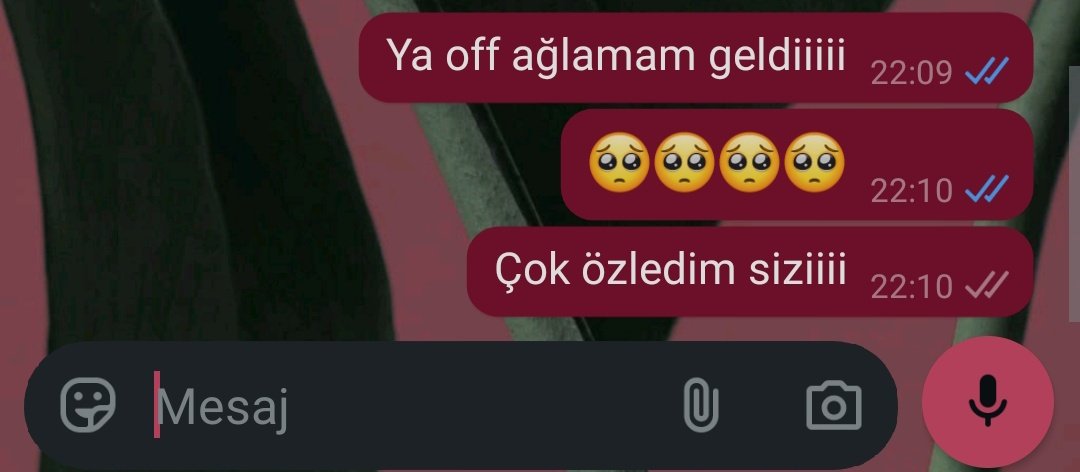 bilmiremm27's tweet photo. Evimizi terk ettiğimizden beri tek sohbetimiz bu🥺 https://t.co/JZ3eGscRVI