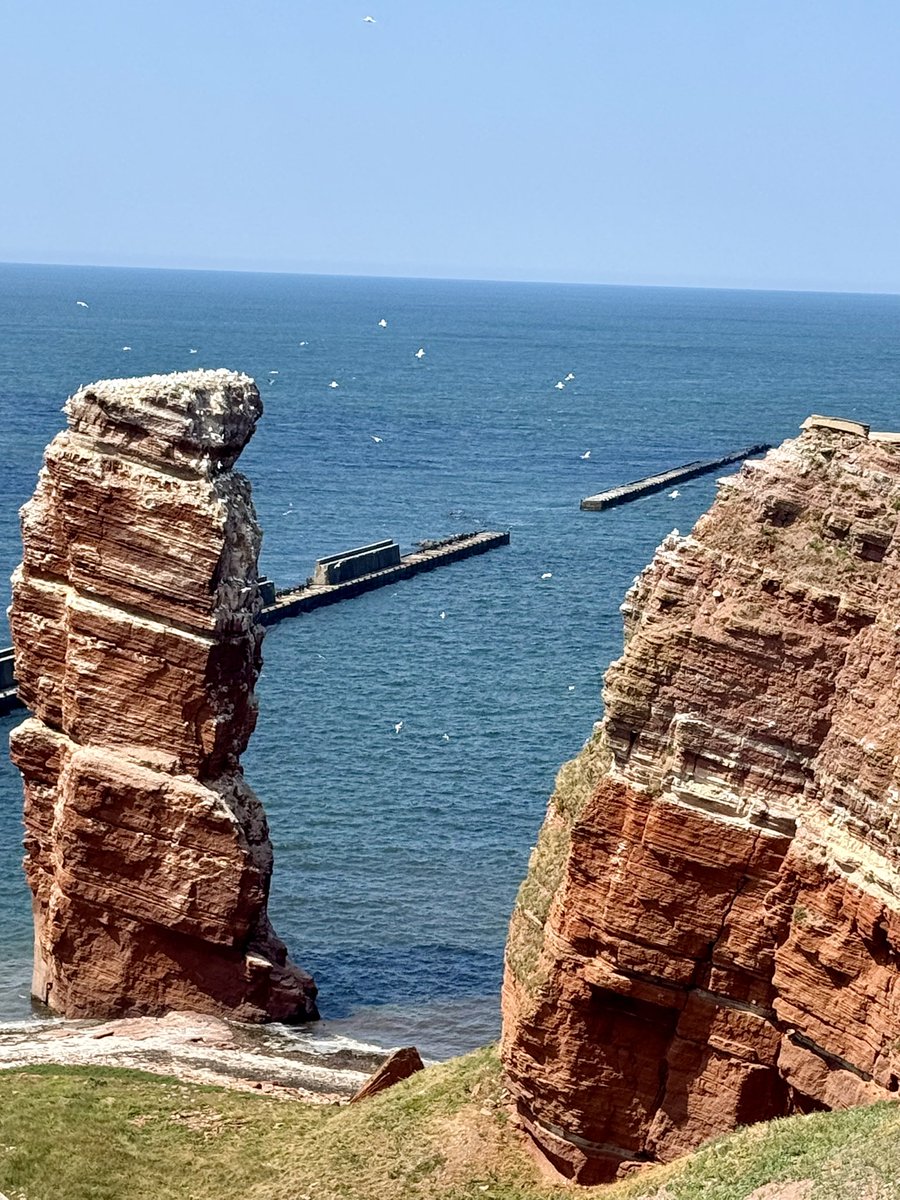 sober_runner7's tweet photo. Heute Ausflug nach Helgoland. Wunderschöne Insel 😊 https://t.co/0Tvws0vPto