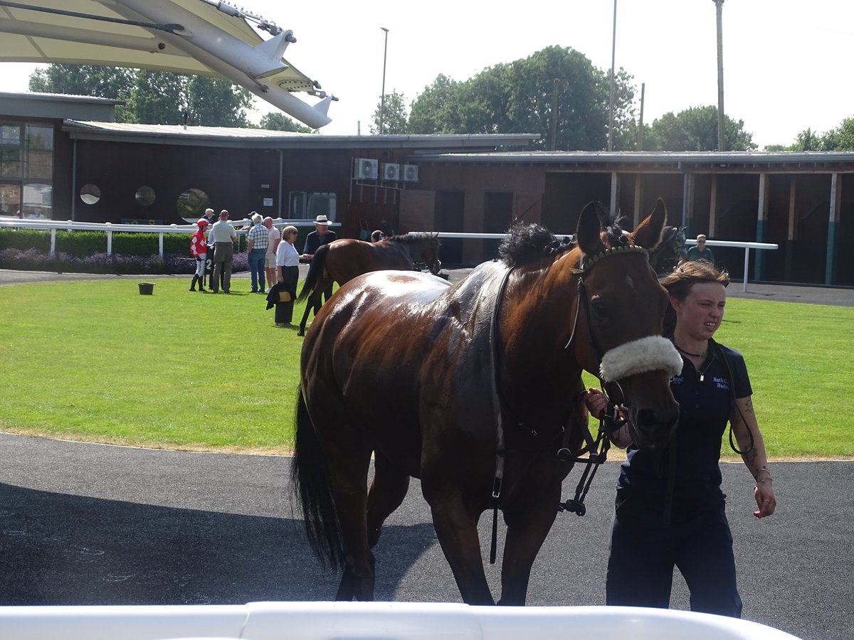 DavidVi04981180's tweet photo. The Good Biscuit winner of the 6 furlong Handicap at Catterick today leading close home ridden by Joanna Mason @jomason90 trained by Ruth Carr Racing @RuthCarr1 #TheGoodBiscuit https://t.co/pknnmq2Hwc