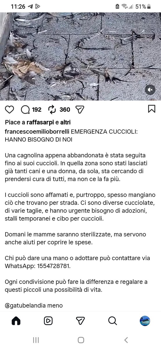 Angela2liveit1's tweet photo. ❤❤URGENTE ❤ ❤ https://t.co/dE3Wo6HomI