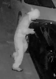 EC Crime Stoppers tweet media