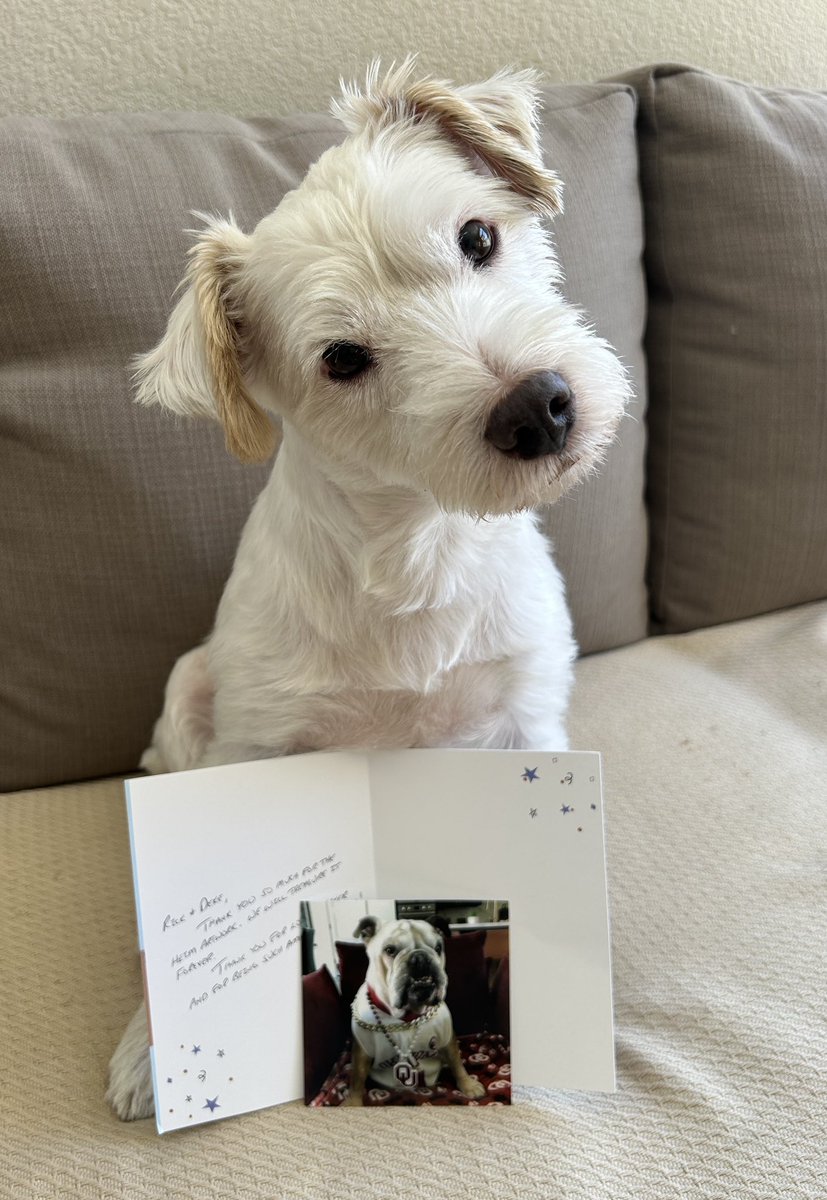 DekeHenriFurry's tweet photo. When our friend @Lil_Fen crossed the rainbow bridge, I asked Mr. Johnny (@JohnHeim) to create an illustration for Mr. Baker’s family!
Today I received a Thank You card and picture of Mr. Baker for my dog cave! 
Thank you Miss Sherry!
~ Deke🐾
#TherapyDog 
#PawYouNeedIsLove https://t.co/Tu9DISErer