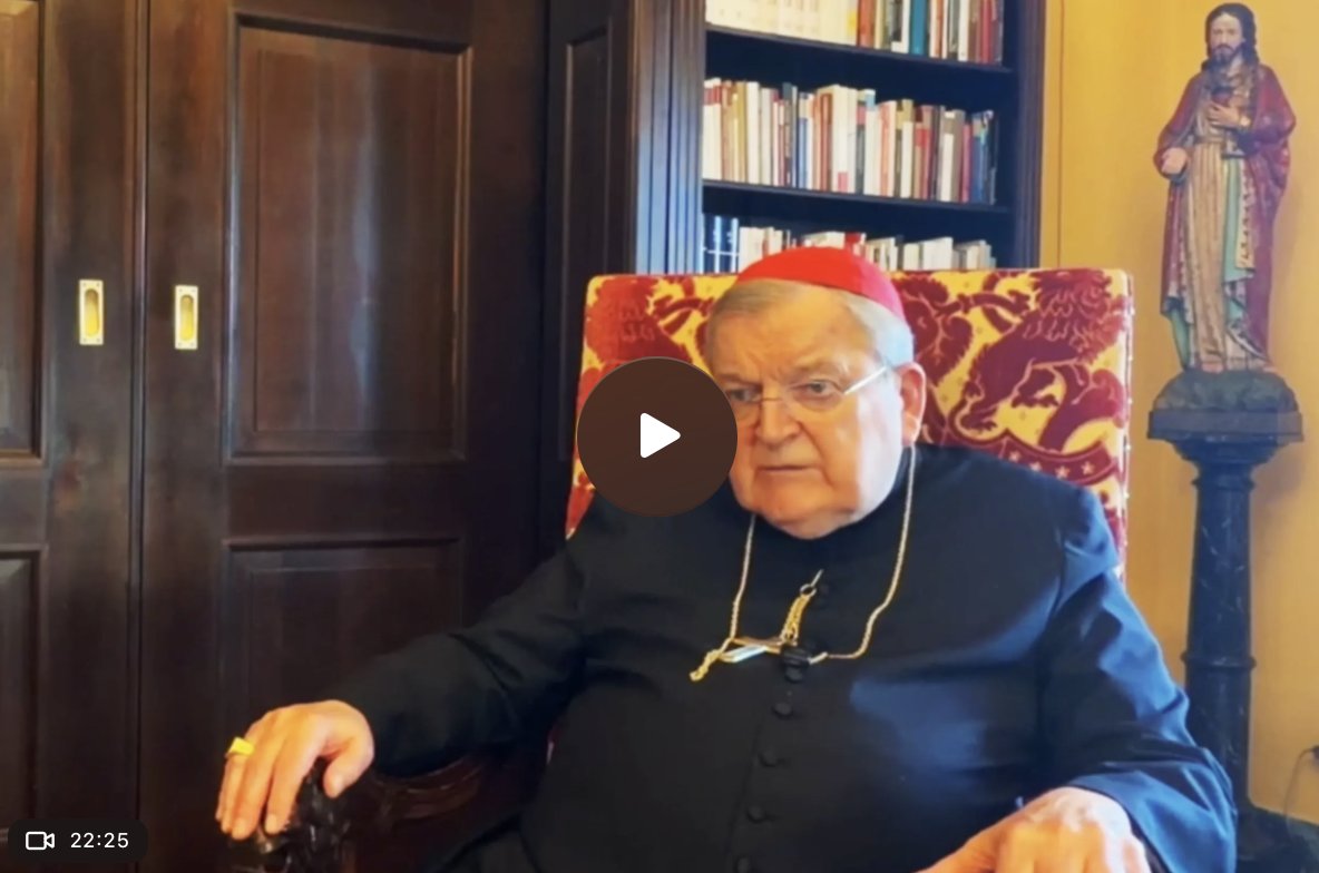 Perhaps he could submit some dubia regarding synodality? 
