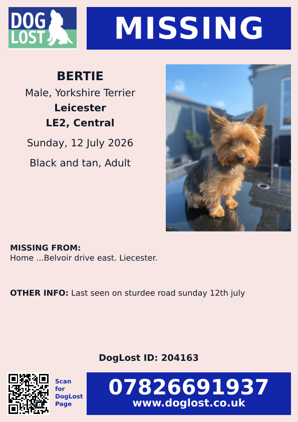millypod1's tweet photo. 🆘12 JULY 2026 #Lost Bertie #ScanMe
Yorkshire Terrier Male
Home ...Belvoir Drive East #Leicester #Leicestershire #LE2 Last seen on Sturdee Road sunday 12th july
https://t.co/m9cZUMI8DF https://t.co/DR3q6xStXs