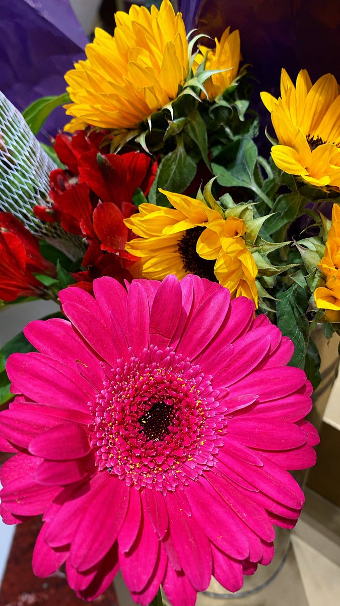 heart__ksa's tweet photo. عسى هالدنيا تضحك لي
كـثر مـا بقلبي نوايـا خـير https://t.co/X6Yhvmqx1u
