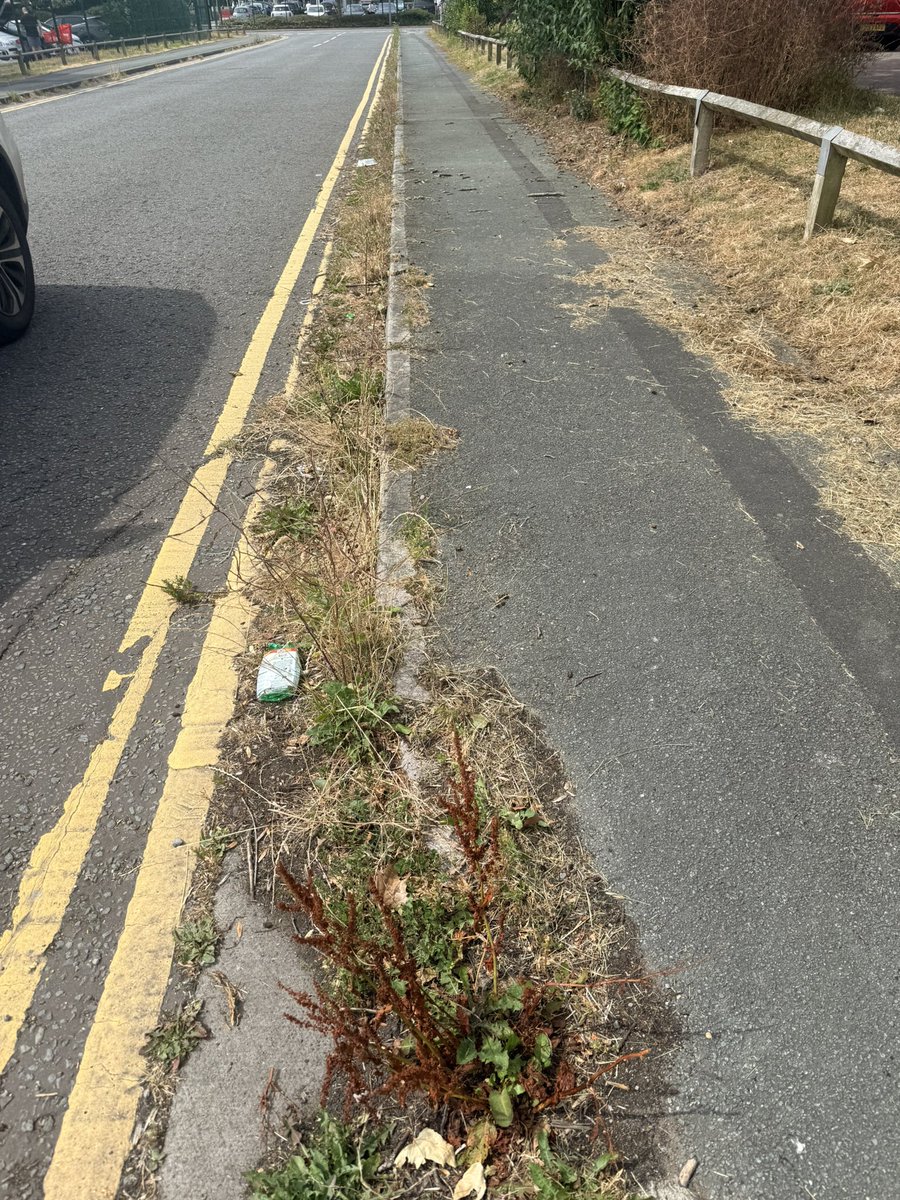 KevlarBrock's tweet photo. @simonjveardley I’d say it’s close enough to 
///given.chip.faster
https://t.co/SzwJcNTdj2

Public highway. 

Also reported the two foot high weeds along that road (I think as same report). 

Eyesore. https://t.co/S1FugALWf1
