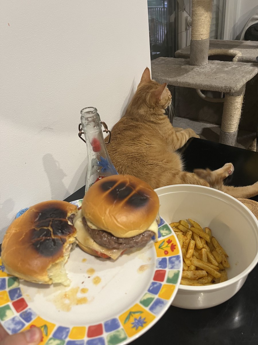 CoachTylerJohn's tweet photo. Air Fried chips, 170gr x2 grass-fed burger patty &amp; some light havarti cheese with tomato &amp; lettuce. 

And my buddies company.

Goated dinner. https://t.co/I92NlxkIVm