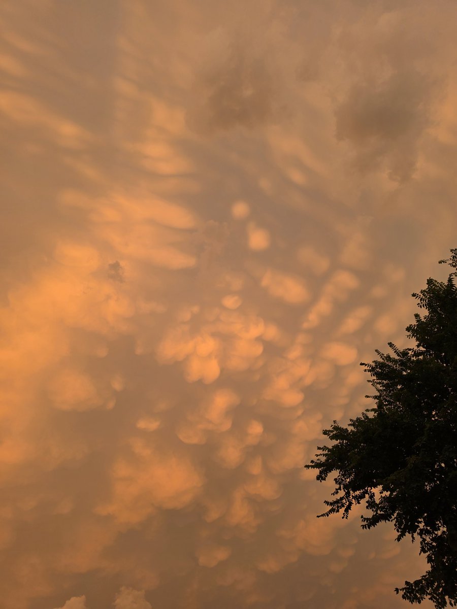 cramius's tweet photo. Mammatus Clouds in Ypsilanti, MI at 9:15 PM EST @AriWeather @foxweather https://t.co/2GQxBNLjYC