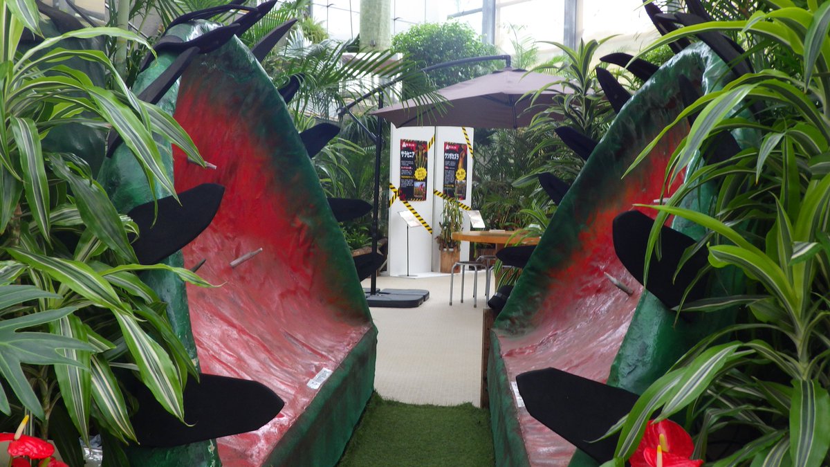 Niigata_BGarden's tweet photo. 【企画展示情報】
食虫植物第2部「食虫トラップに気をつけ展」が開始となりました！第2部は罠がメインです！本物の食虫植物の展示はもちろん、体験型の展示も！いつものアレ、はじめました！

摩訶不思議な食虫植物の世界へ飛び込もう！（罠には気をつけて！）

#新潟県立植物園
#落とし穴
#挟みこみ式 https://t.co/CbYO0OSYkp