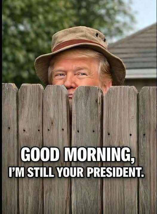 debbiep02157's tweet photo. @ML3democrats https://t.co/DVIQgzVdVq