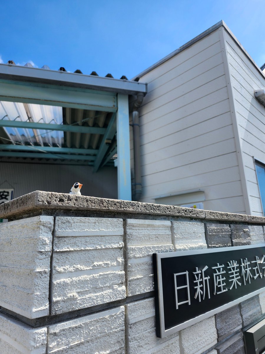 nissin_sangyo's tweet photo. おはようございます! #栗東市 晴れ
#からしの日
個人的には苦手なので
肉まんにもシューマイにもおでんにも
不必要です
水分はしっかり摂っていきましょうね🥤
#企業公式が朝の挨拶を言い合う
#企業公式つぶやき部
#製造業
#Shiga https://t.co/jGJPLnRwOI