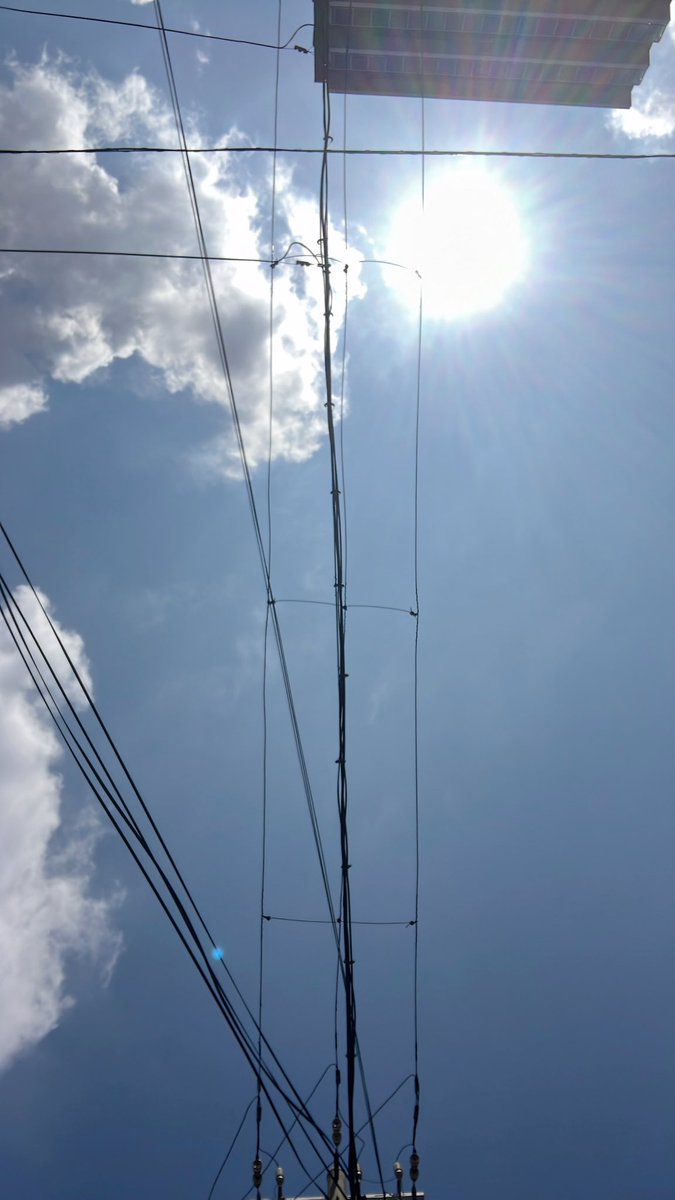lismocurry's tweet photo. おはようございます🌞

蝉は朝からほんまに元気ですね🔥
さて明日はランチ営業後、福島区にある油野美術館の｢カヨー事情聴取｣にてカレー出店です🤗
本日は通常通りランチ営業です🈺

◉7月16日(木)◉
・グリーンキーマ
・じゃがいも入りネパール山椒のキーマカレー

◇副菜◇
・赤玉ネギのピクルス https://t.co/9GoRQpTVeQ
