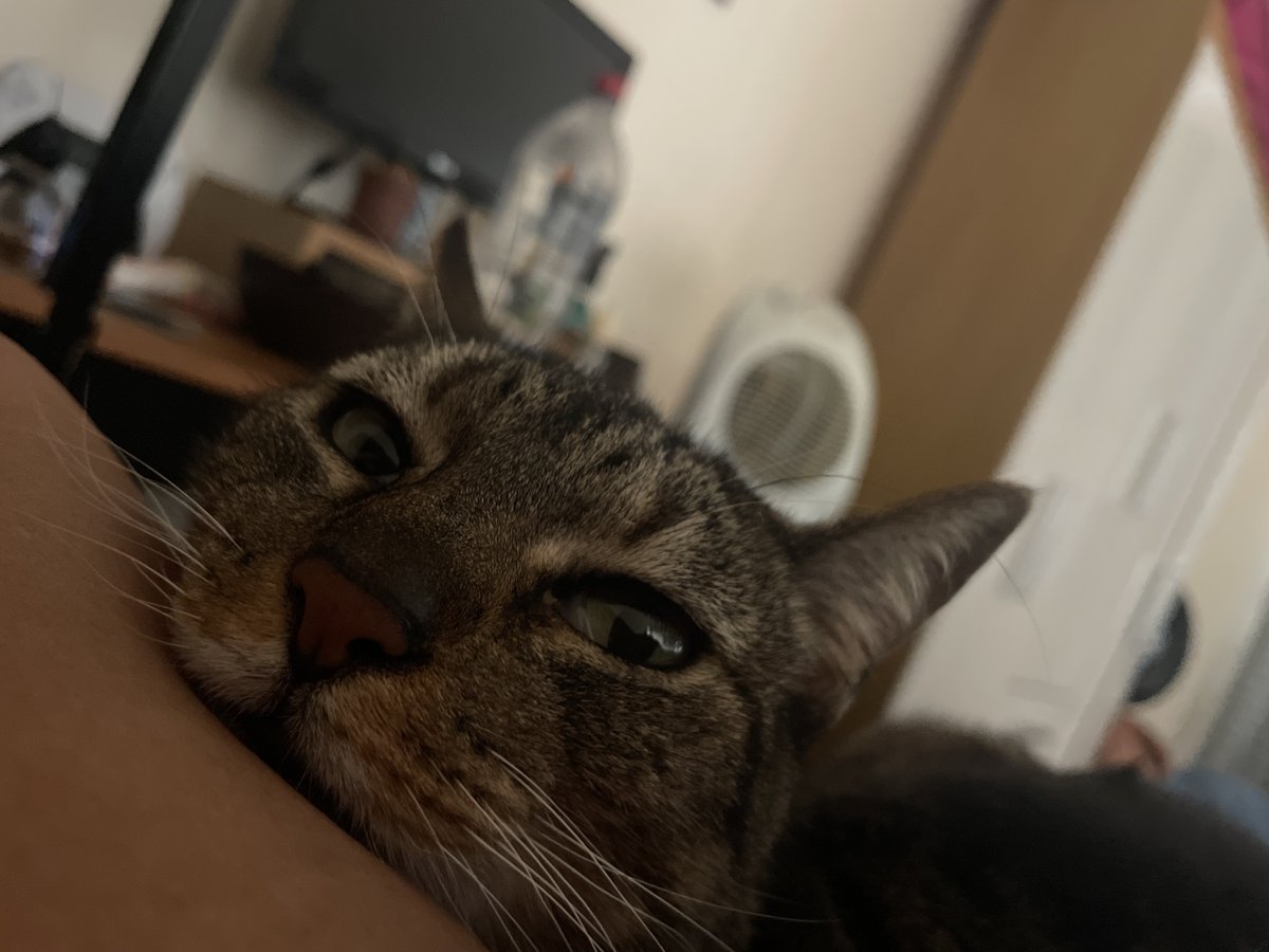 gutstory's tweet photo. *chego*
*amasso um pão bem sovado*
*saio* https://t.co/uiLdpihNva