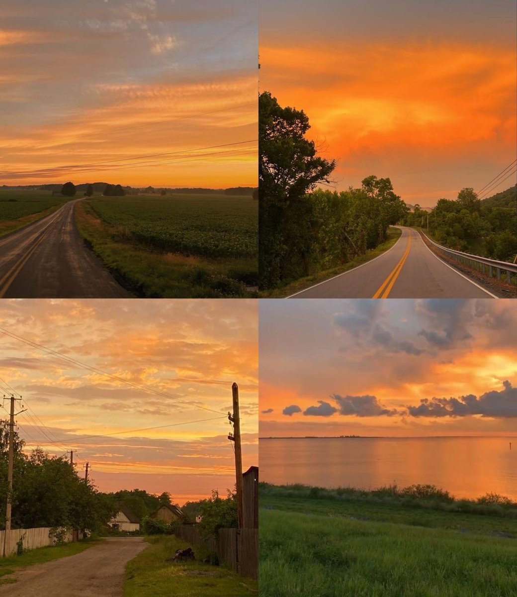 calmlivng's tweet photo. golden hour https://t.co/5gFXUsulxP