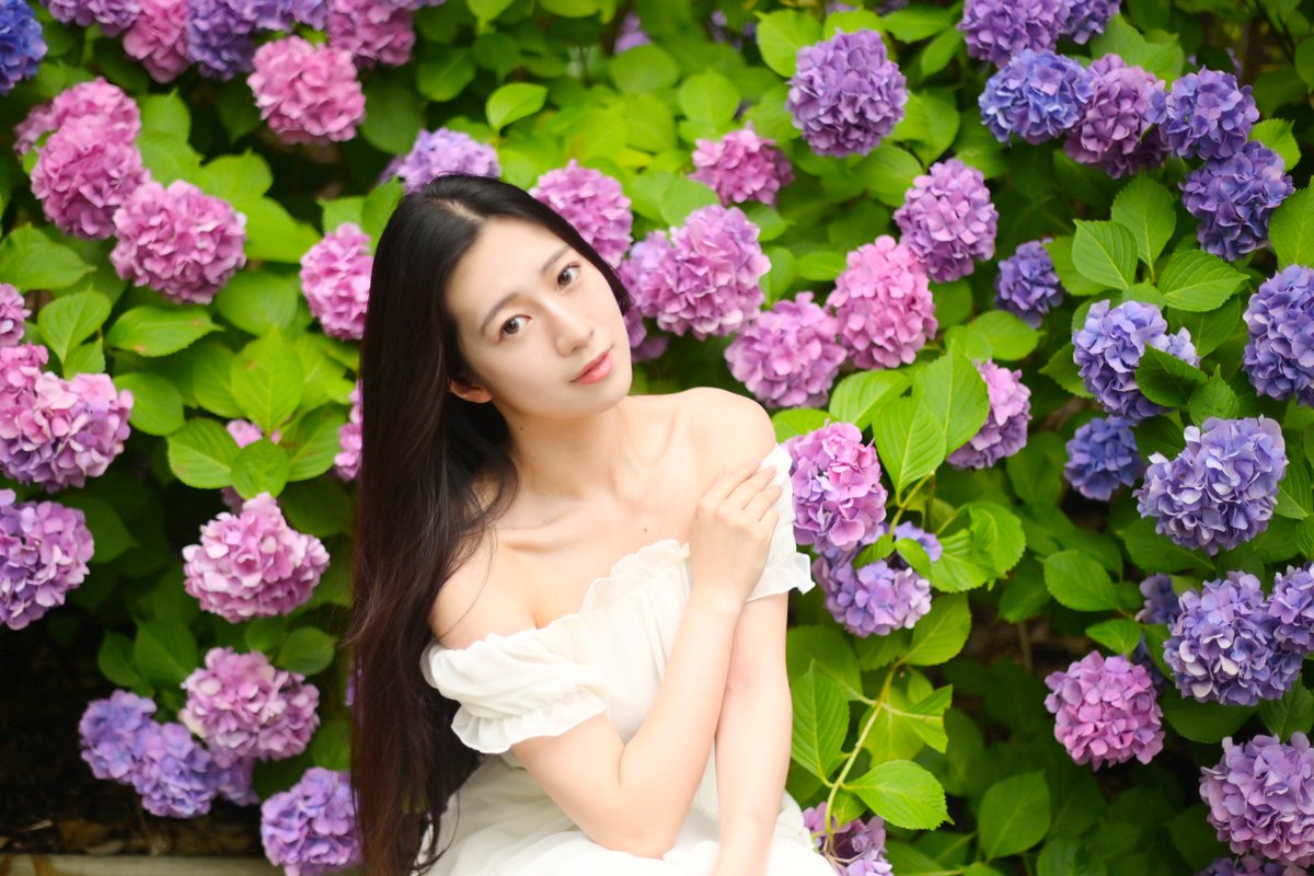 藍紫に溶け込む様に #Mana_ #紫陽花 #mana202606