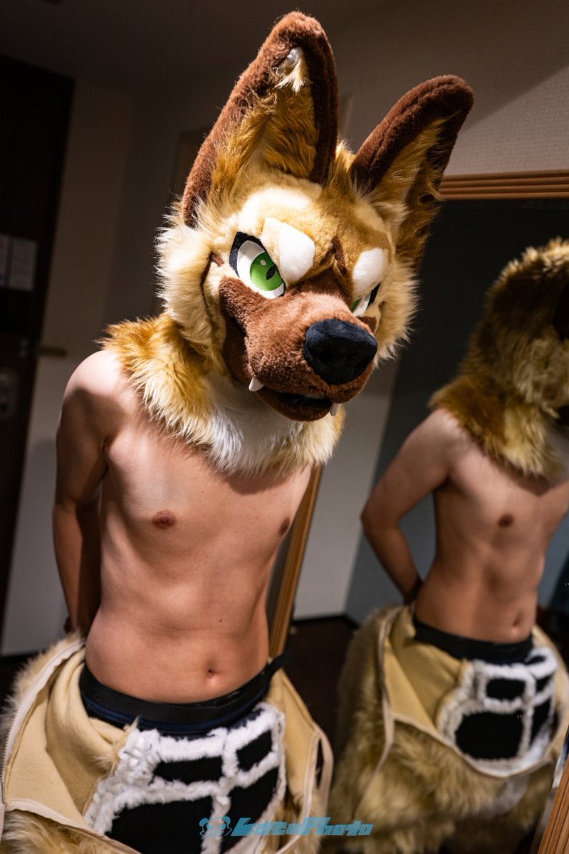 lIIlI___'s tweet photo. オオカミを撫でて🐺 https://t.co/8cWjrIqVp5