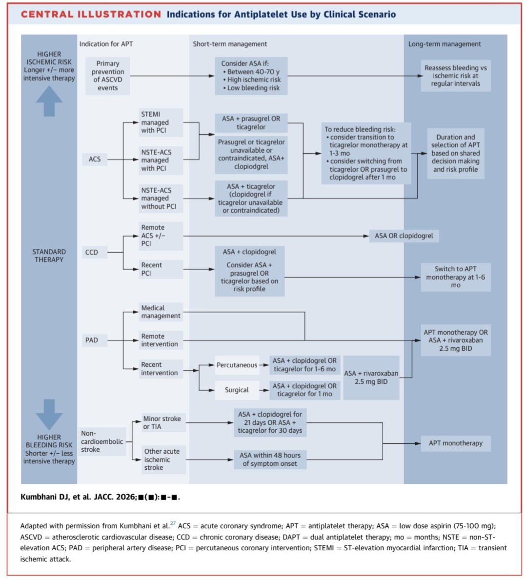 javier20ch's tweet photo. 🟦Terapia Antiplaquetaria en la Enf. Cardiovascular Aterosclerótica. 💊🔎
🔱✨️Todo lo que hay que saber sobre antiagregantes en los contextos más usados: SICA, SCC, EAP, ACV. ➡️ SCIENTIFIC STATEMENT 2026 @ACCinTouch 🫀💯
✅La aspirina ya NO debe usarse de rutina en prevención primaria. Solo considerar en pacientes de 40-70 años, con alto riesgo CV y bajo riesgo hemorrágico. Evitar su uso rutinario en >70 años. 🙅🏻‍♂️🚫
✅Después de una ICP: Enf. Coronaria crónica➡️ DAPT 6 meses (AAS + clopidogrel) / SICA➡️ DAPT 12 meses (ASA + prasugrel o ticagrelor).💊💊
✅Menos DAPT puede ser mejor
En pacientes seleccionados➡️ 1-3 meses de DAPT → continuar únicamente con un iP2Y12 (reduce el sangrado sin aumentar los eventos isquémicos, especialmente con ticagrelor). 📉💊
✅Clopidogrel mejor que ASA: después del 1er año post-SICA, Clopidogrel en monoterapia puede ofrecer menor riesgo isquémico con igual o menor sangrado comparado con aspirina. 🥇💊
✅Estratificar el riesgo antes de decidir: siempre apoyarse en herramientas como DAPT Score, PRECISE-DAPT, ARC-HBR. 🧮🧐🩸

📝🆓️⤵️
https://t.co/nlsUqm8OME
https://t.co/LuYXKhWS3U