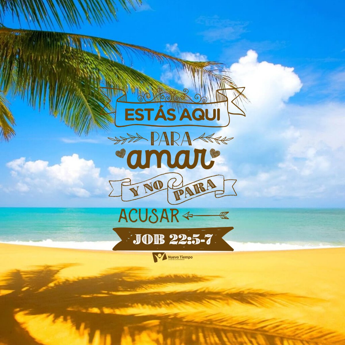 ntchile's tweet photo. 💙 La paz que tanto buscas comienza cuando decides acercarte a Dios. Nunca es tarde para volver a Él.
#RPSP #PrimeroDios #Job22
🎧 Escucha en: https://t.co/9BuwWiYbru https://t.co/lJG2o7uWjw