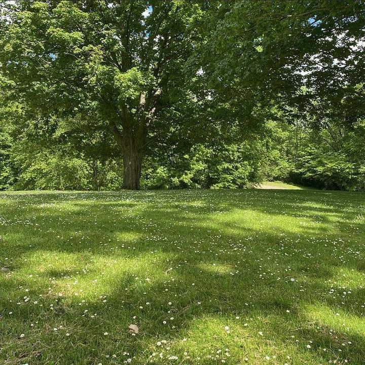 calmlivng's tweet photo. serenity in stillness https://t.co/MEReUTkyWf